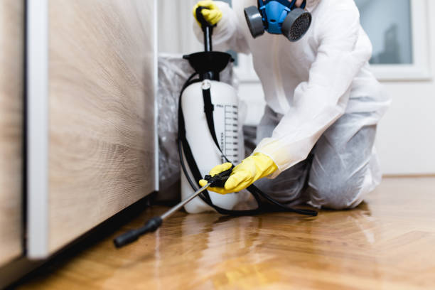 Best Insect Control  in Bridgeport, WA
