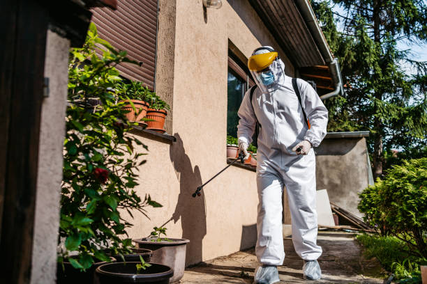 Reliable Bridgeport, WA Pest Control Solutions