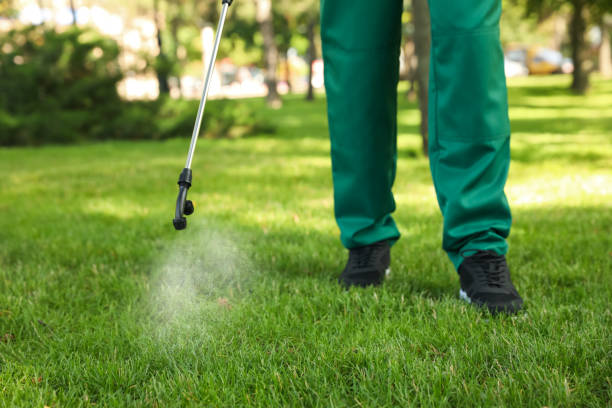 Best Pest Control for Restaurants  in Bridgeport, WA