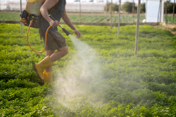 Best Mosquito Control Services  in Bridgeport, WA