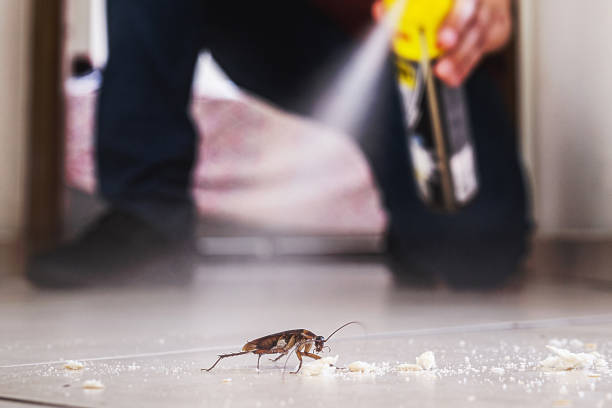 Best Insect Control  in Bridgeport, WA
