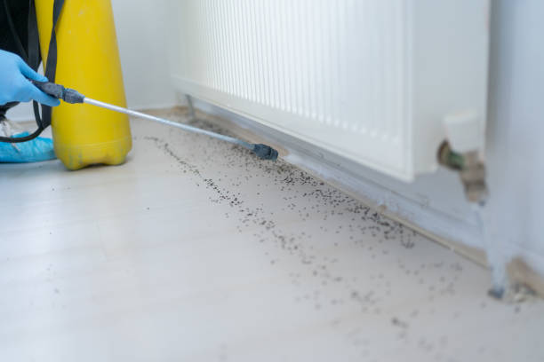 Best Mosquito Control Services  in Bridgeport, WA